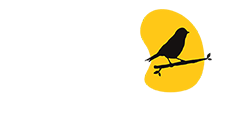 Escola Nosso Canto - Escola de música em Blumenau